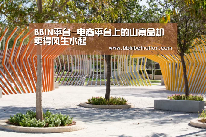 BBIN平台-电商平台上的山寨品却卖得风生水起(图1) BBIN真人