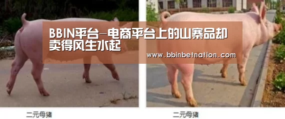 BBIN平台-电商平台上的山寨品却卖得风生水起(图2) BBIN登录
